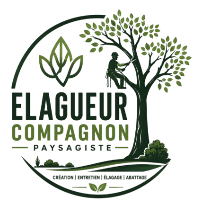 elagage-elagueur-compagnons-paysagistes